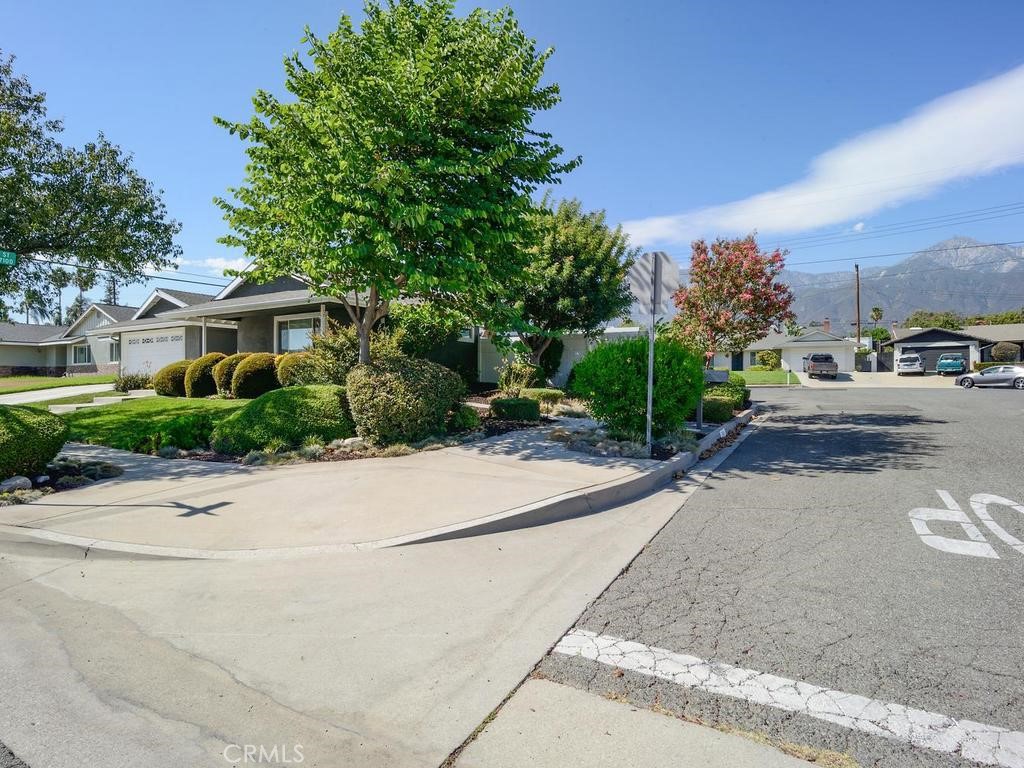 7064 Lion Property Photo 4