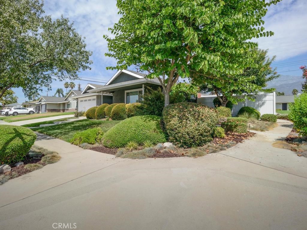 7064 Lion Property Photo 5