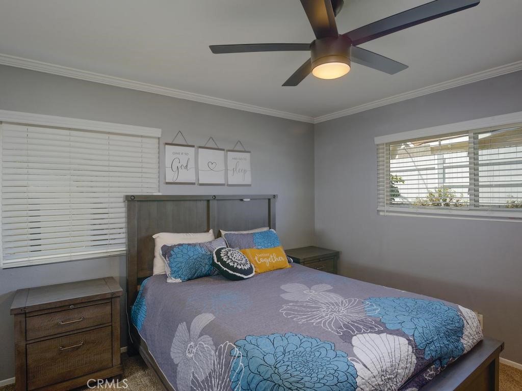 7064 Lion Property Photo 14