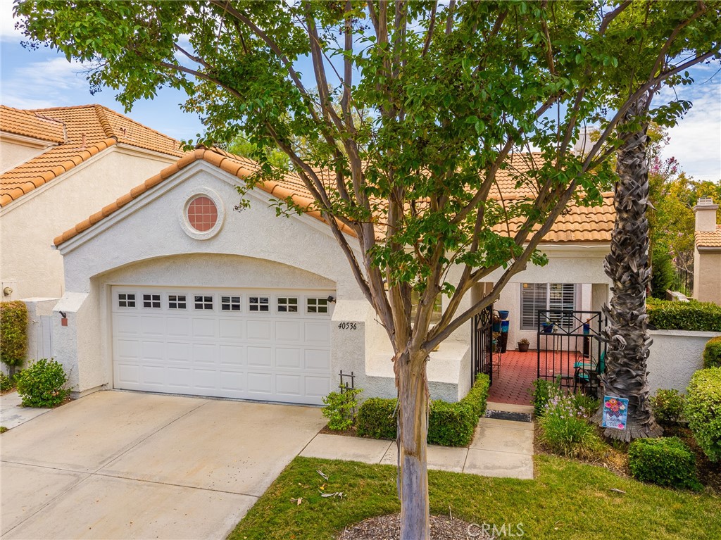 40536 Via Estrada Property Photo 10