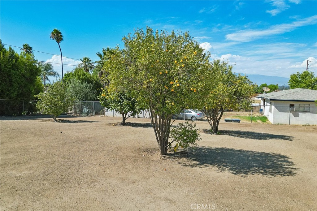 4818 Crestview Property Photo 59