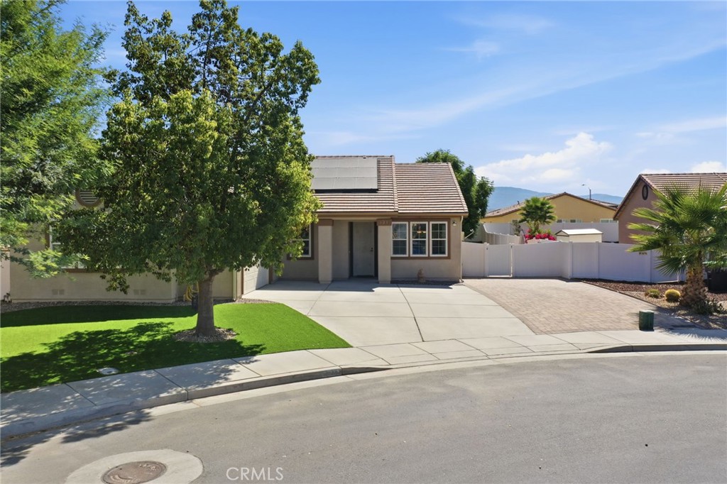 123 Lily Property Photo 18