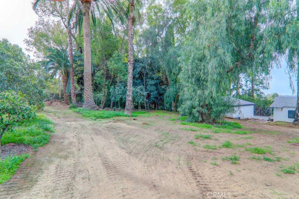 6174 Hawarden Property Photo 39