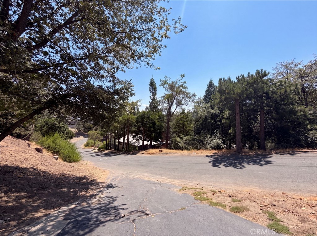 22360 Briarwood Property Photo 34