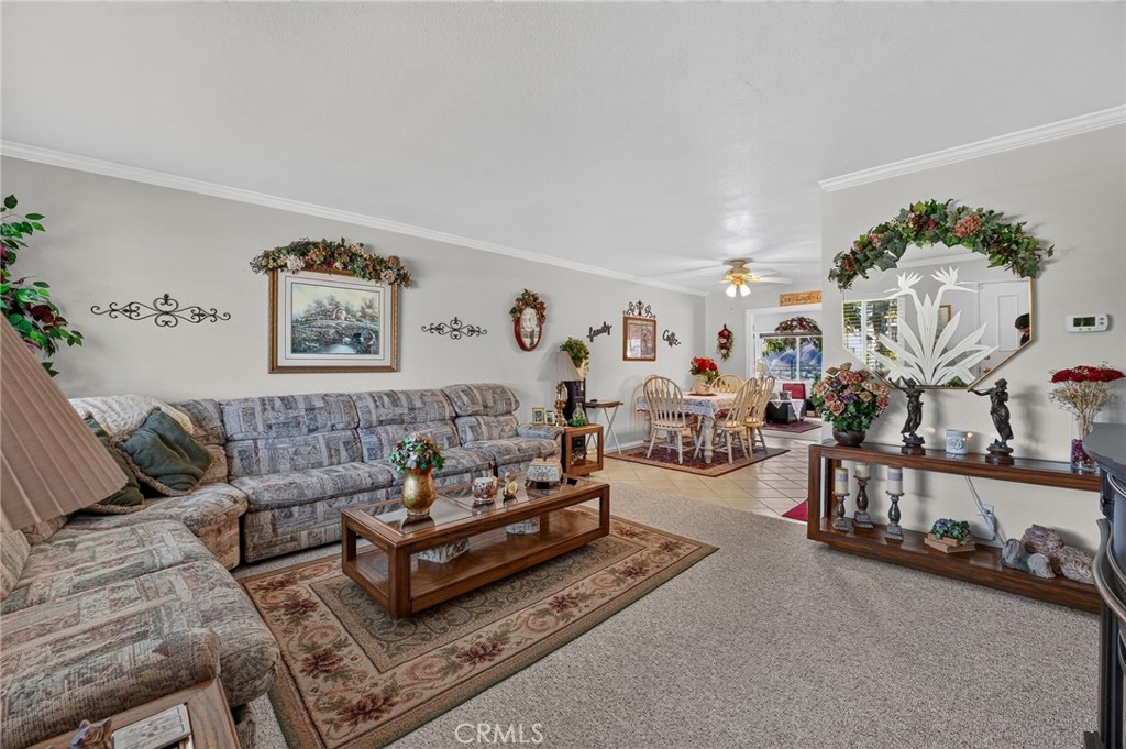 11918 Peach Tree Road Property Photo 6