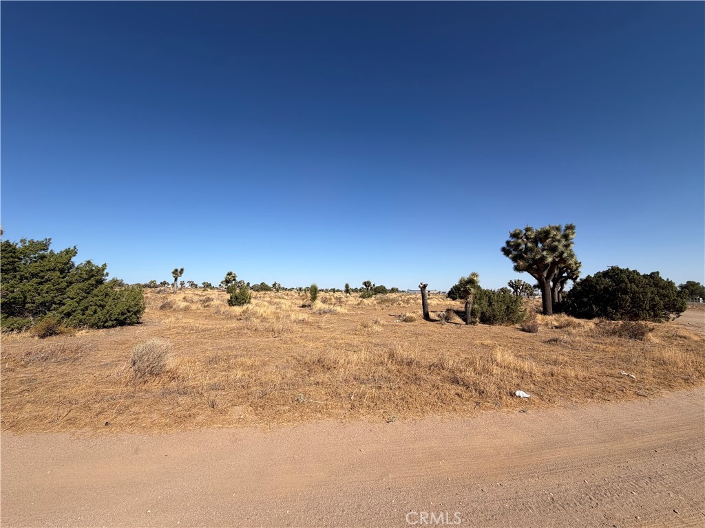 0 Vinton Property Photo 1