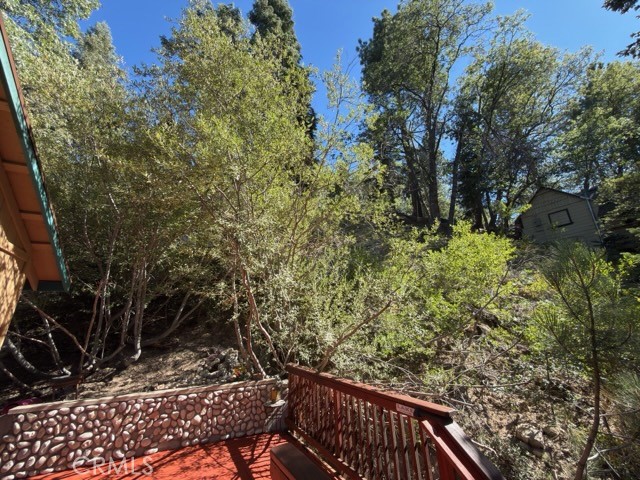 33519 Falling Leaf Drive Property Photo 20