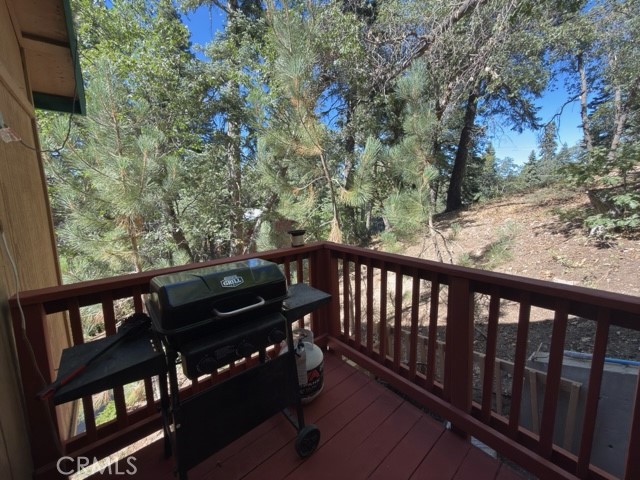 33519 Falling Leaf Drive Property Photo 29