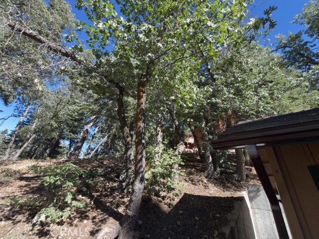 33519 Falling Leaf Drive Property Photo 30
