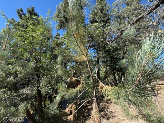33519 Falling Leaf Drive Property Photo 31