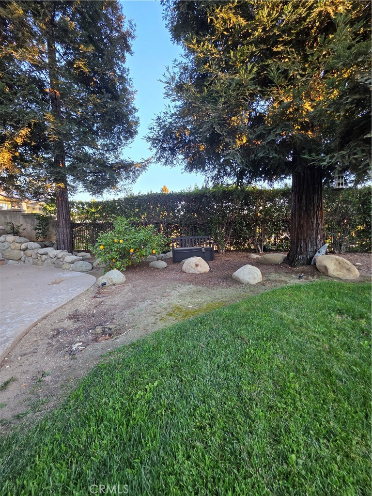 13557 Pineridge Court Property Photo 42