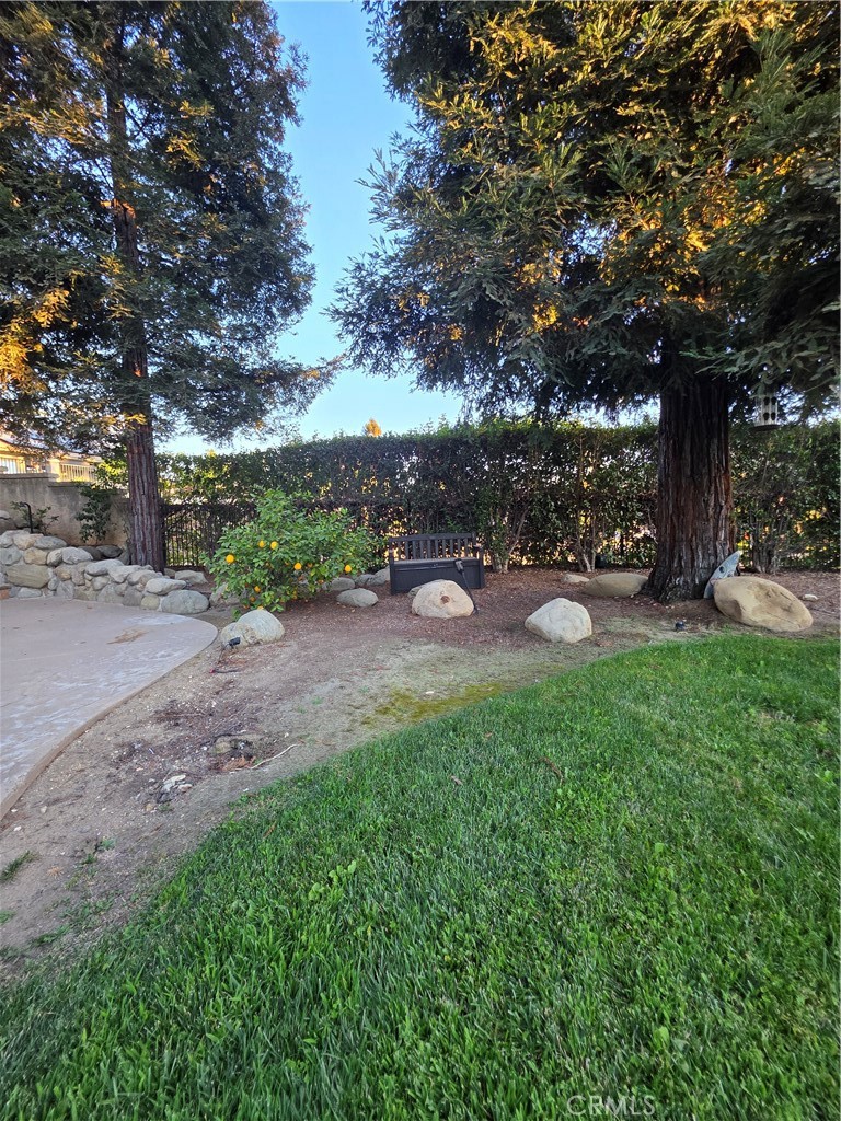 13557 Pineridge Court Property Photo 42