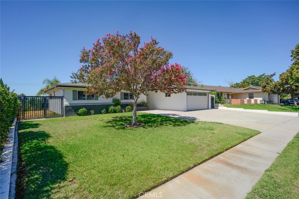 3803 Piedmont Property Photo 6