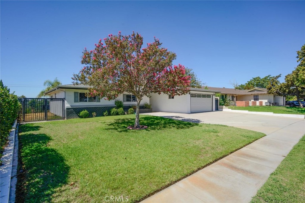 3803 Piedmont Property Photo 6