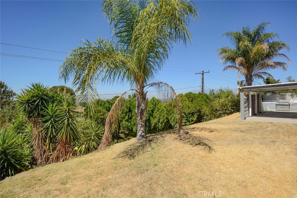 3803 Piedmont Property Photo 31