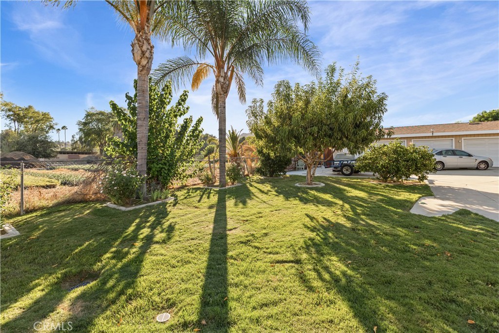 4337 Riverview Property Photo 22