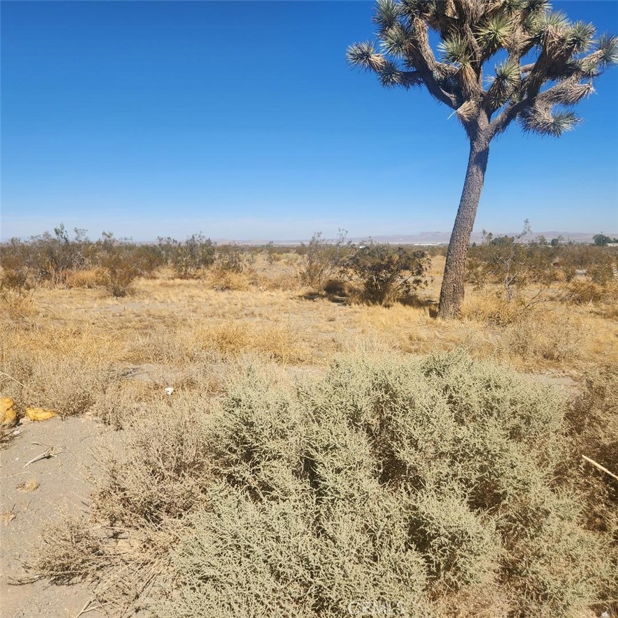 20 Palmdale Road Property Photo 4