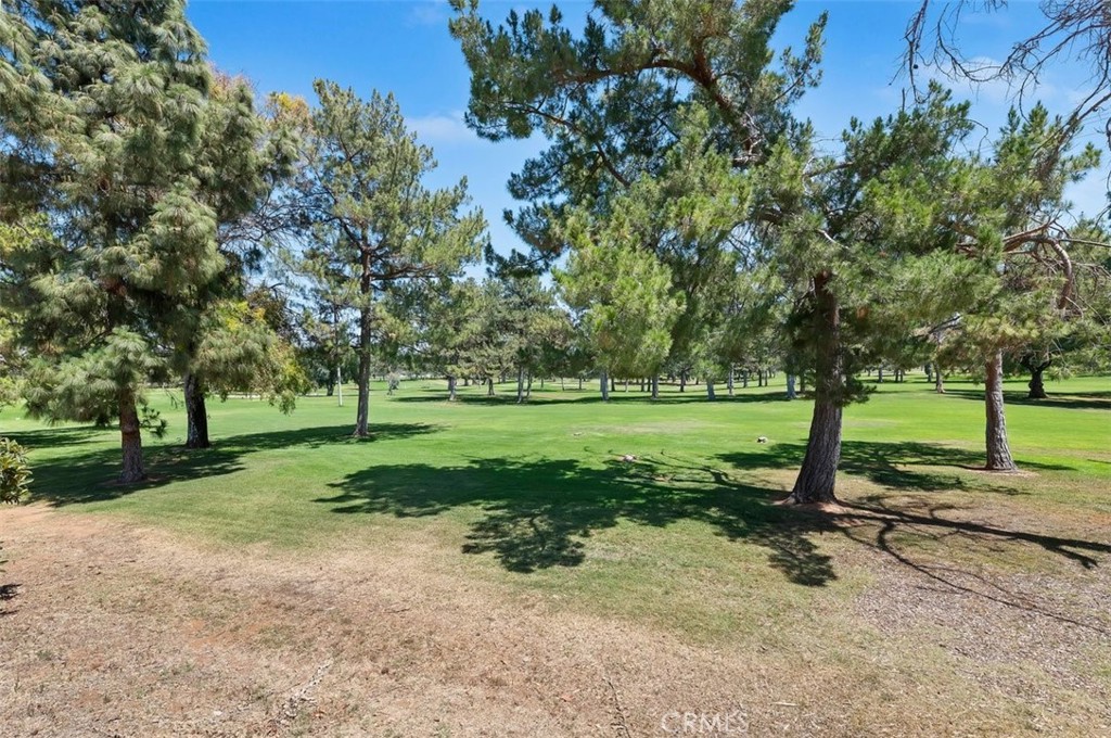 7266 Linares Ave Property Photo 37