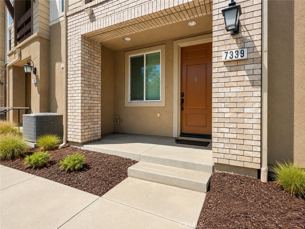7339 Nightfall Property Photo 3