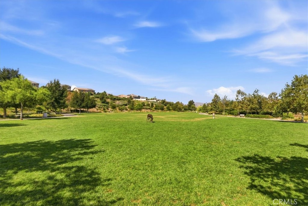 20071 Cold Canyon Court Property Photo 50