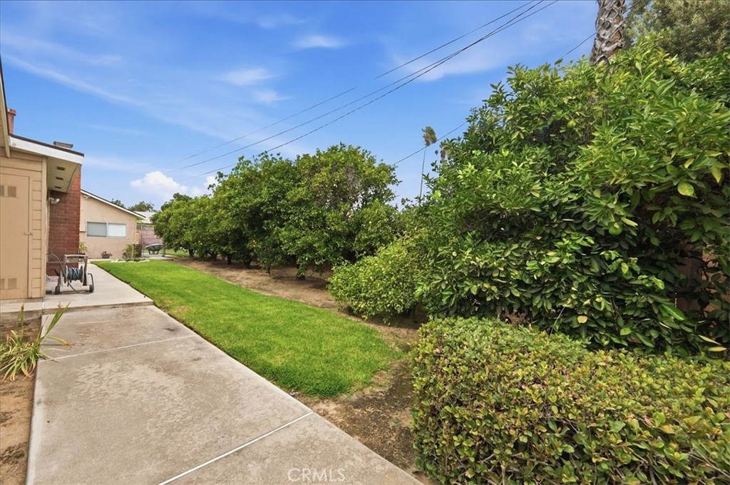 5105 Golden Property Photo 43