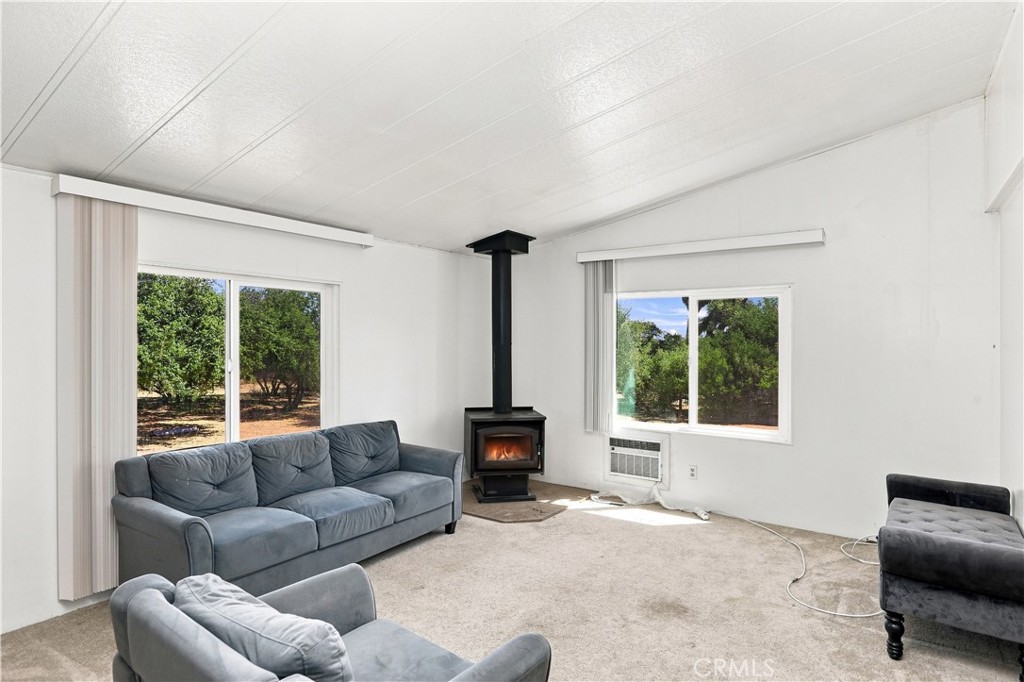 11124 Medlow Property Photo 22