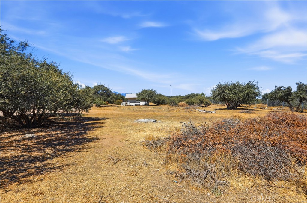 11124 Medlow Property Photo 38