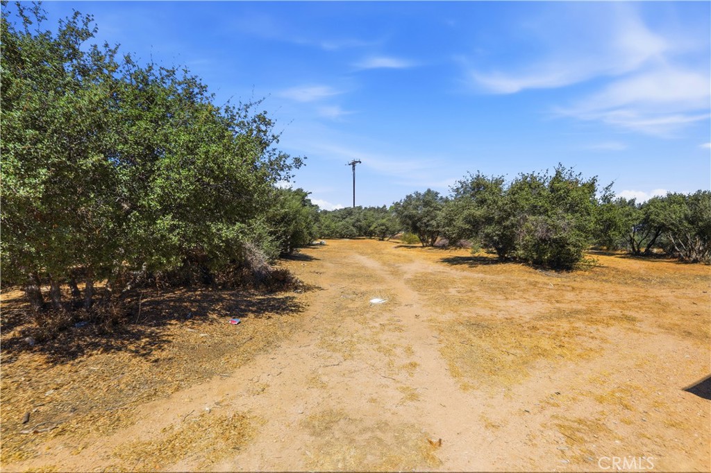 11124 Medlow Property Photo 49