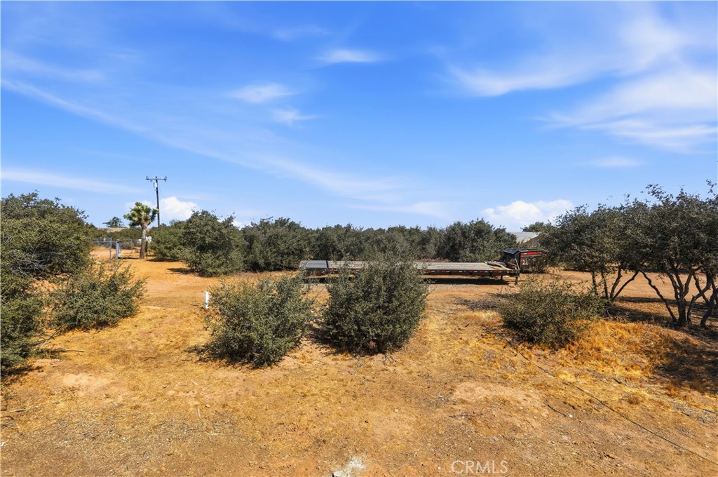 11124 Medlow Property Photo 50
