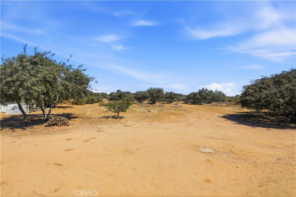 11124 Medlow Property Photo 51