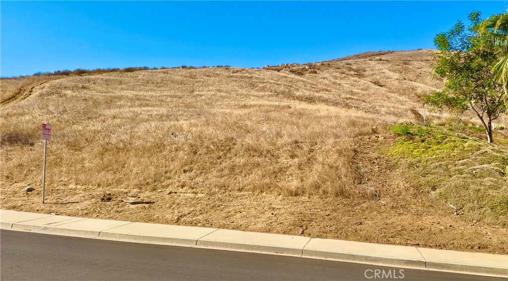 2986 Everwood Drive Property Photo 3