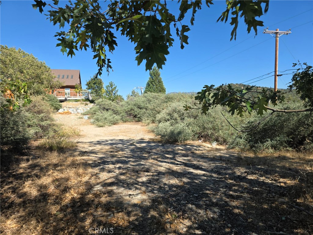 718 Cypress Road Property Photo 3