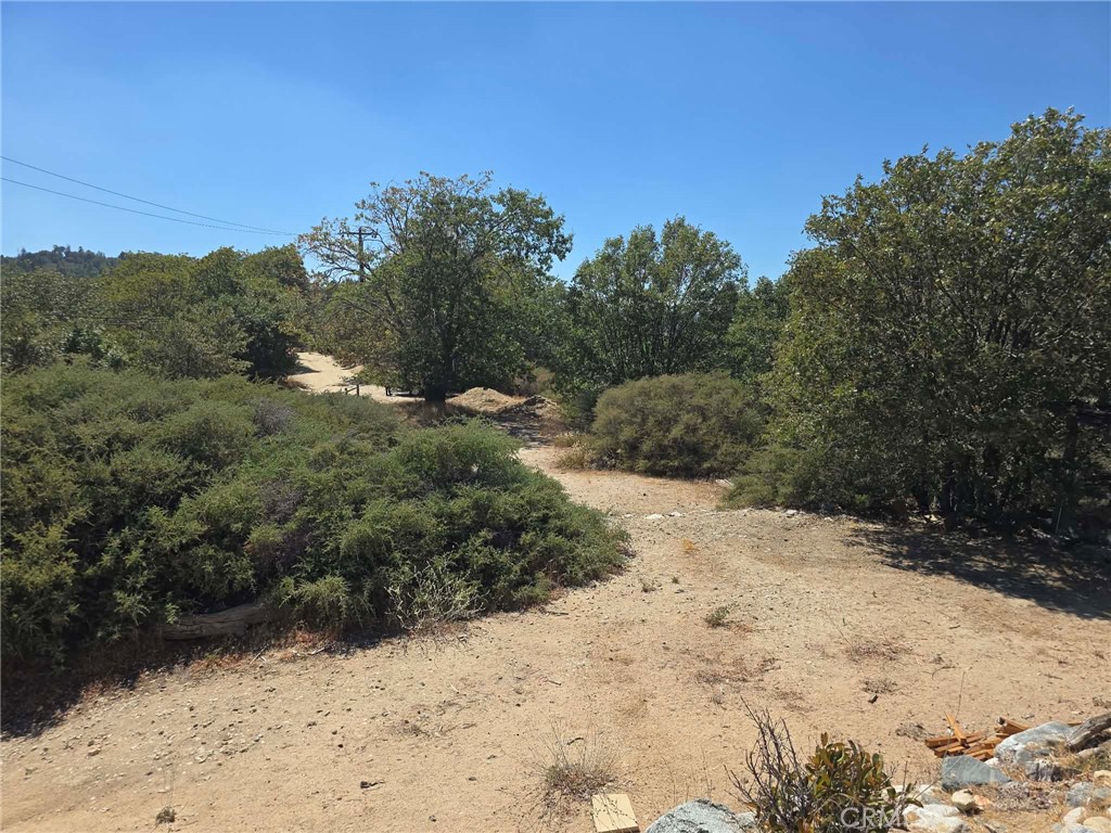 718 Cypress Road Property Photo 4