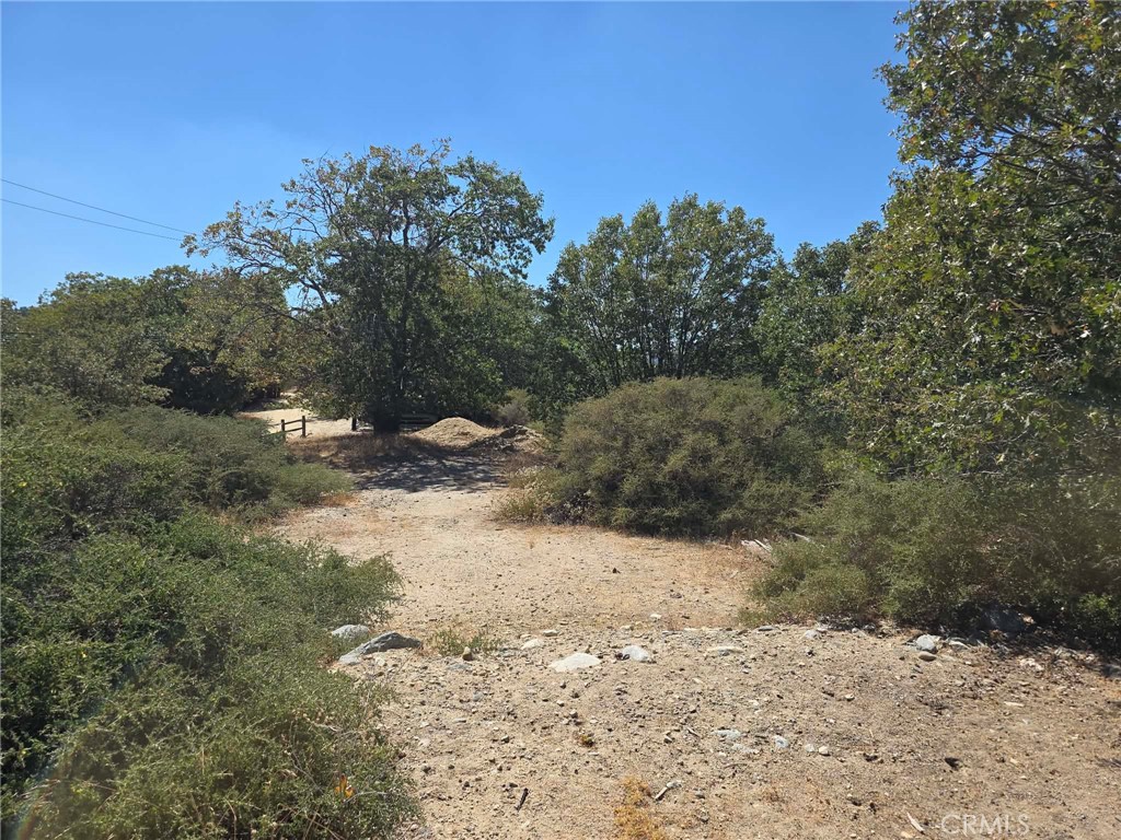 718 Cypress Road Property Photo 6