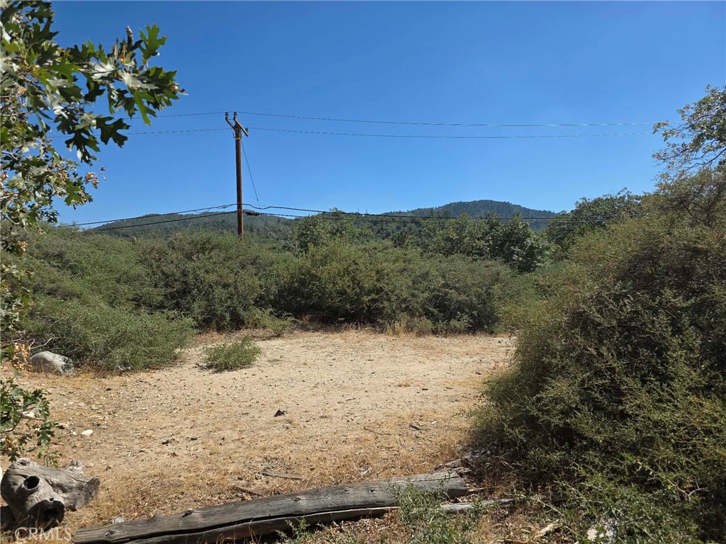 718 Cypress Road Property Photo 7