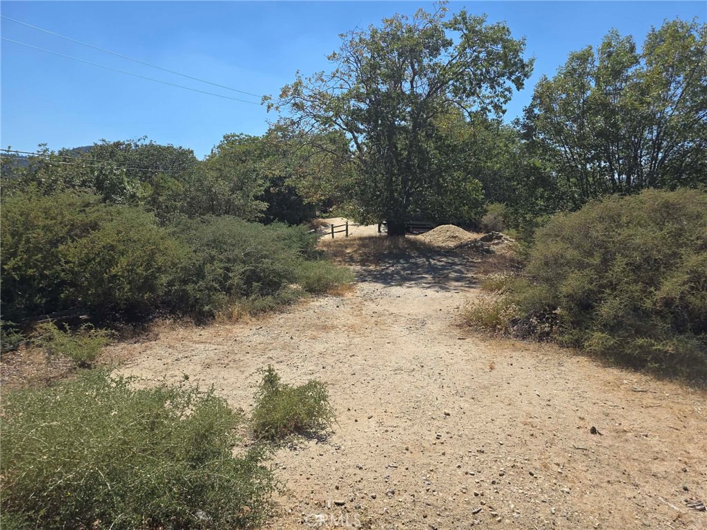 718 Cypress Road Property Photo 12