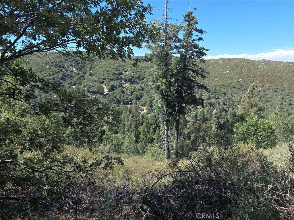 718 Cypress Road Property Photo 13