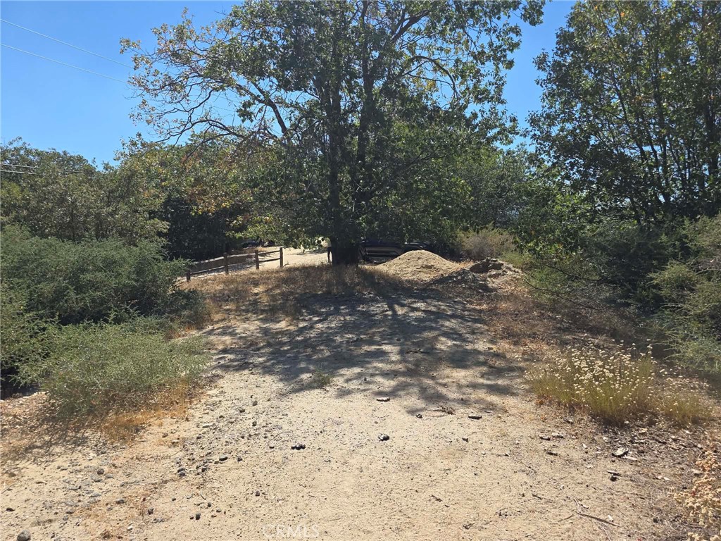 718 Cypress Road Property Photo 14