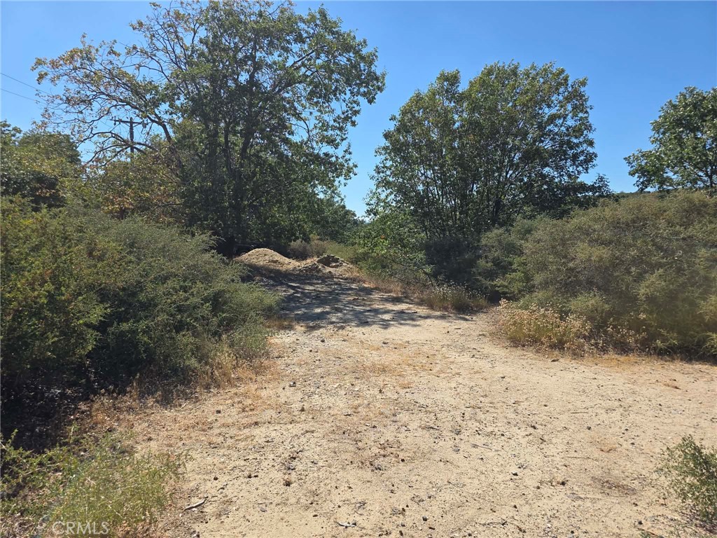 718 Cypress Road Property Photo 17