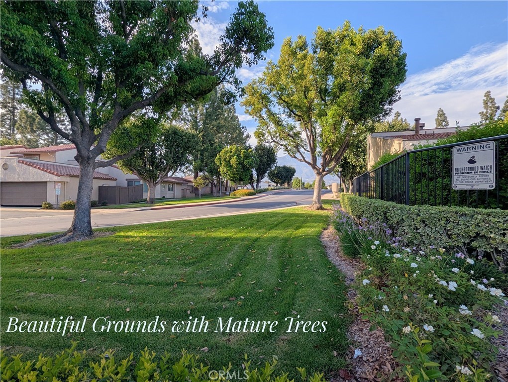 9858 Madera Court Property Photo 32