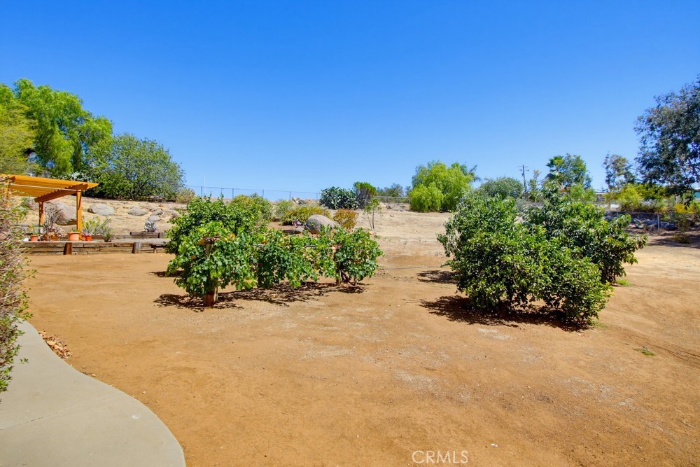 1691 Roble Grande Road Property Photo 62