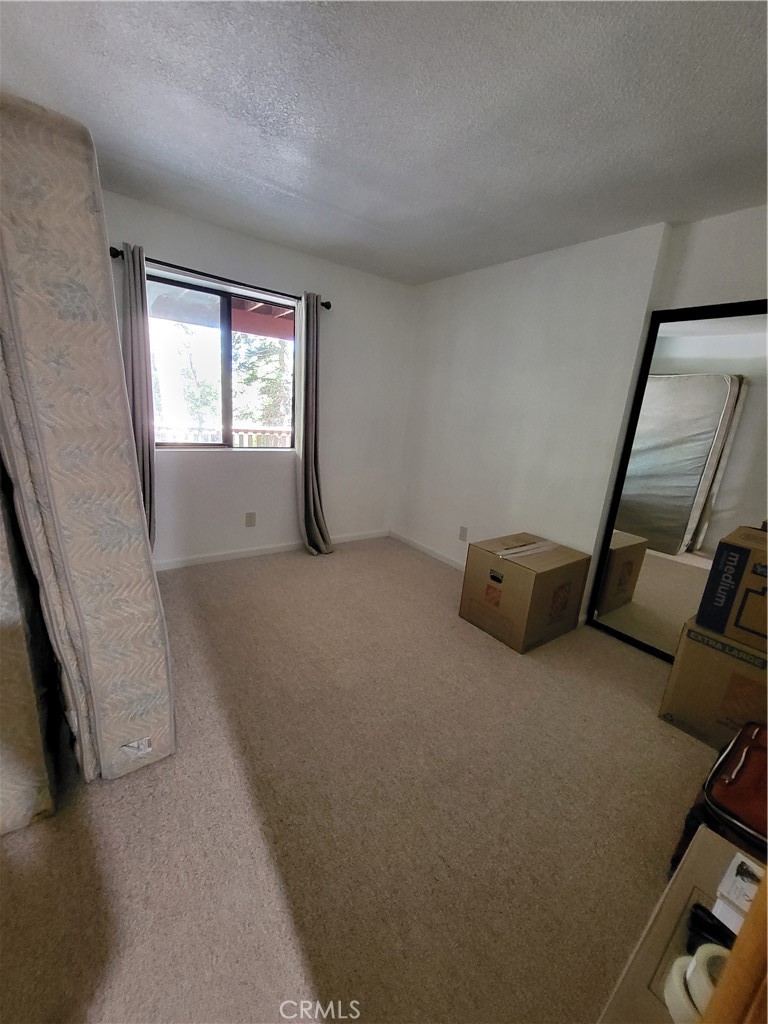24812 Lake Gregory Property Photo 10