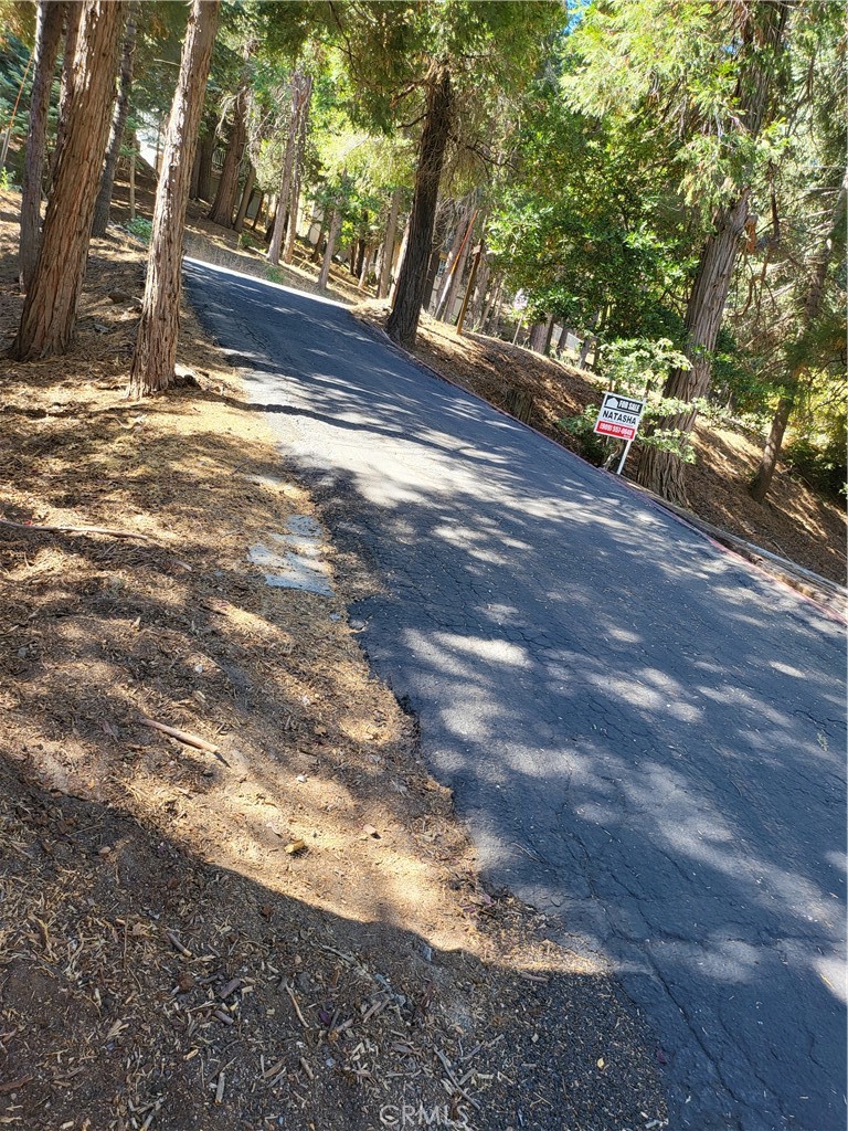 24812 Lake Gregory Property Photo 15
