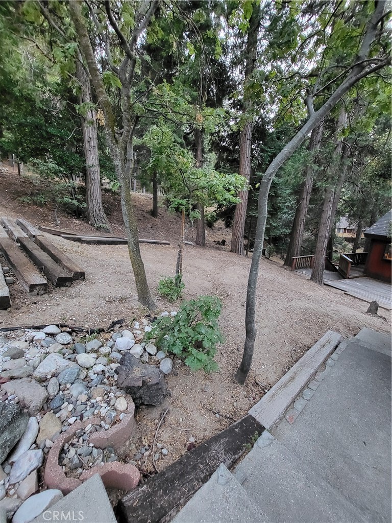 24812 Lake Gregory Property Photo 27