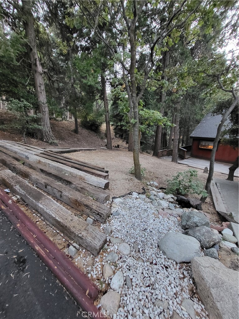 24812 Lake Gregory Property Photo 28