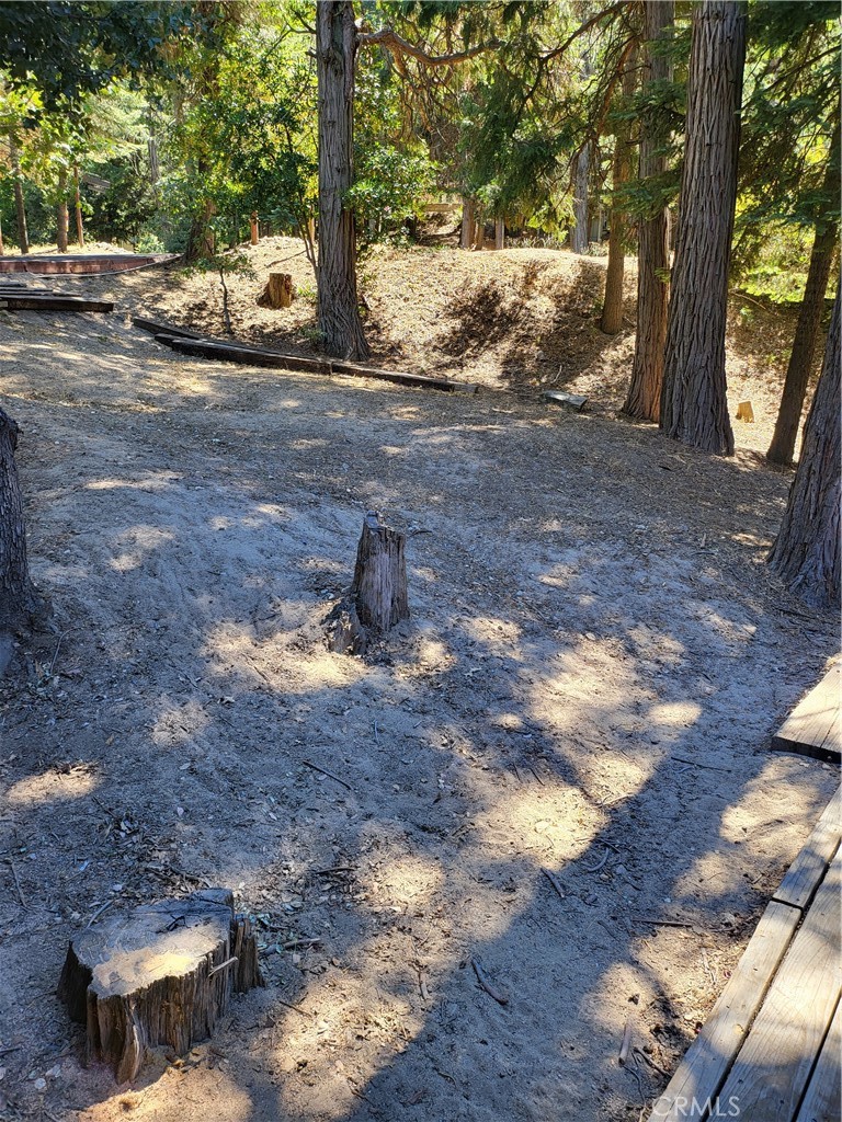 24812 Lake Gregory Property Photo 31
