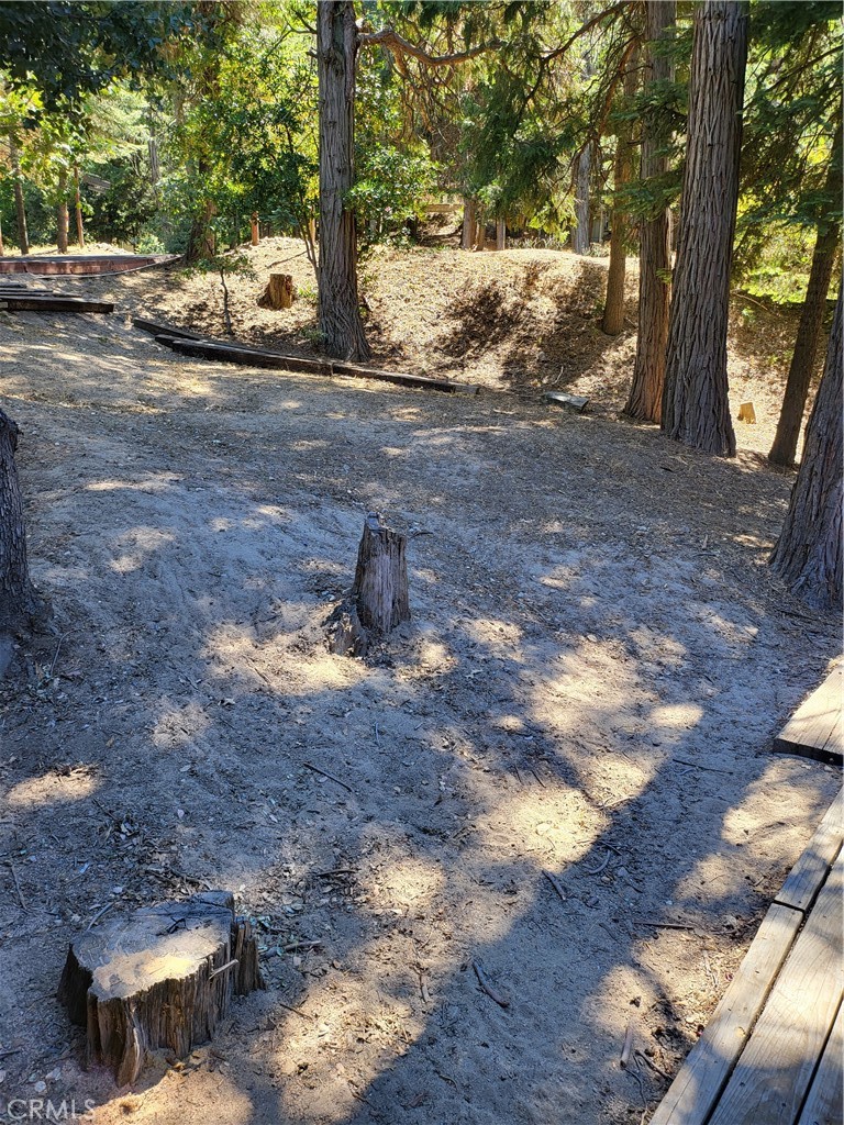 24812 Lake Gregory Property Photo 34