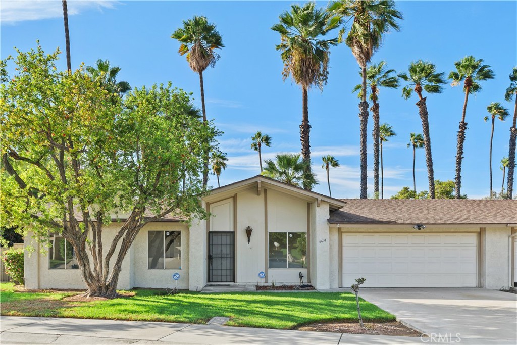 6631 Wintertree Drive Property Photo 3
