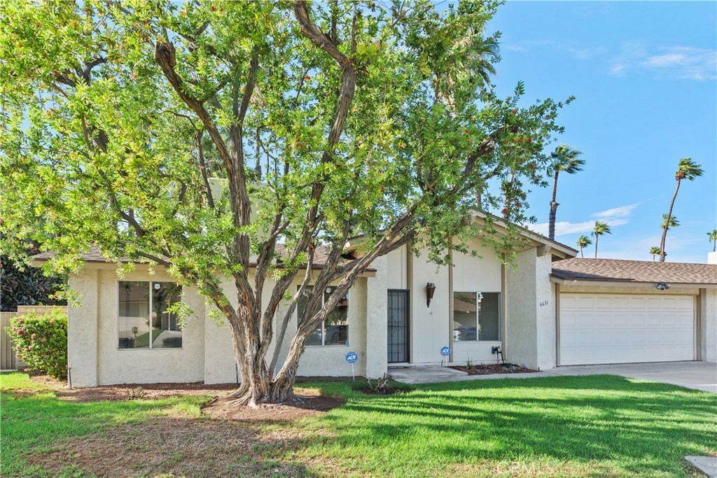 6631 Wintertree Drive Property Photo 5