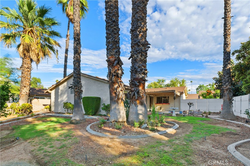 6631 Wintertree Drive Property Photo 35